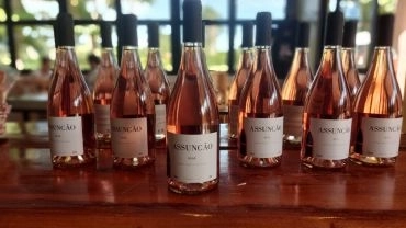 Passeio Piquenique Vin&iacute;cola Assun&ccedil;&atilde;o